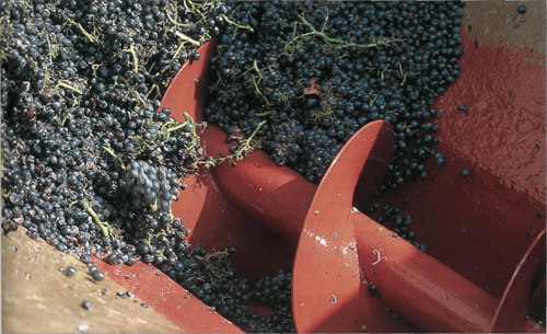 дробление винограда в дробилке